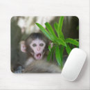 Search for “young mousepads Young animal