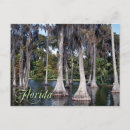 Search for winter trees postcards Lake