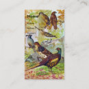Recherche de gibier cartes visite Oiseaux