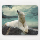 Search for aggressive standard mousepads Background