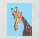Search for giraffe face postcards Head