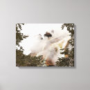 Search for bison canvas prints Yellowstone national park
