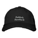 Search for paddock Horses