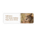 Search for coyote return address labels Wildlife