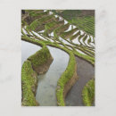 Recherche de yunnan cartes postales Pente