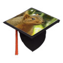 Search for gray squirrel hats Nature