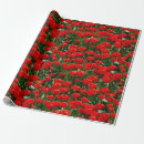 Search for dutch wrapping paper Amsterdam