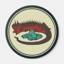 Recherche de fée verte magnets Pour tous