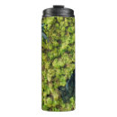 Search for fern travel mugs Plant