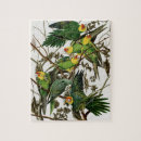 Recherche de peinture de perruche Perroquets