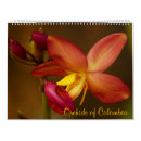 Search for orchid calendars Tropical flowers