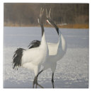 Recherche de grue carreaux Nature