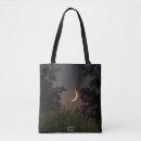 Search for crescent moon bags Astronomy