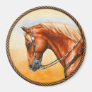 Search for pleasurable magnets Quarter horse