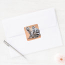 Search for ring tailed lemur stickers Nature