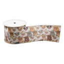 Recherche de chihuahua rubans Chien