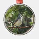 Search for tufts ornaments Birds