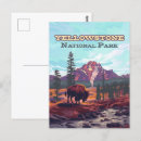 Recherche de geyser cartes postales Voyage vintage