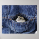 Recherche de hamster mignon posters Animal