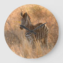 Recherche de poulain horloges Animal