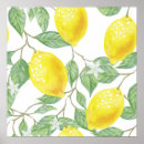 Recherche de lemon posters Citron