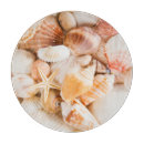 Recherche de coquillage planches à découper Sable