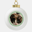 Search for snowflake frame ornaments Pet