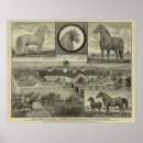 Recherche de farm posters Avec
