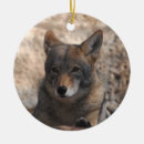Search for coyote ornaments Canine