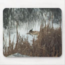 Search for turtles mousepads Wildlife