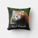 Search for red panda pillows Animal