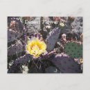 Search for yellow flower postcards Desert