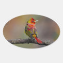 Search for scarlet stickers Bird