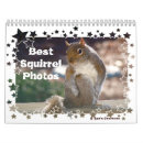 Search for funny squirrel calendars Nature