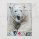 Search for face vertical postcards Bear