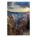 Search for lower posters Nature