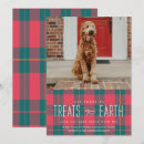 Recherche de de chien noël invitations Dogs