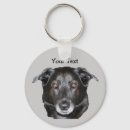 Search for black labrador retriever keychains Pet