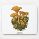 Search for vintage mushroom mousepads Antique