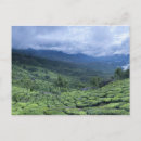 Recherche de le kerala cartes postales Plantation