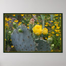 Search for beauty and the beast posters Nature