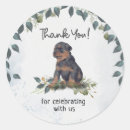 Search for rottweiler dog stickers Puppy