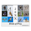 Search for birds of prey calendars Nature
