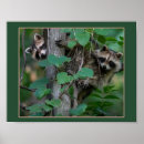 Search for siblings baby kids Animals