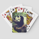 Search for bear playing cards Panda