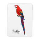 Search for macaw parrot magnets Bird