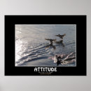 Recherche de canards sauvages posters Colvert