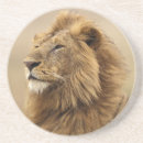 Recherche de masai mara dessous de verres Afrique