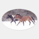Search for cowboy dressage stickers Cowgirl