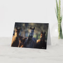 Search for warmblood cards Standing